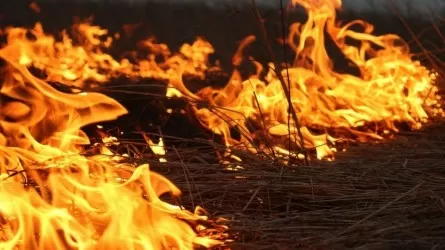 В Павлодарской области из-за пожаров сгорели тысячи тонн сена