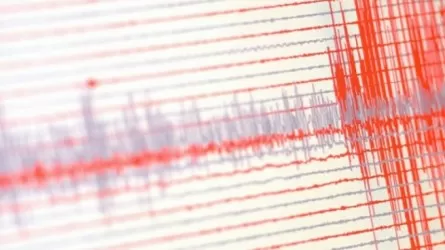 Землетрясение магнитудой 4.1 зафиксировали сейсмологи Алматы