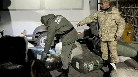 Контрабанду крупной партии наркотиков пресекли в Жамбылской области