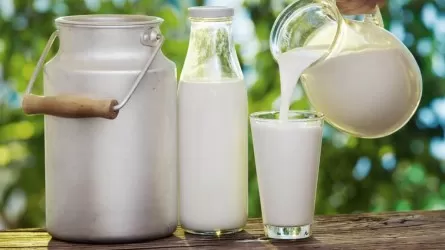 Объем молочного рынка в Казахстане составляет около 5 млн тонн в год 