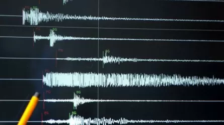 Землетрясение случилось в 372 км от Алматы