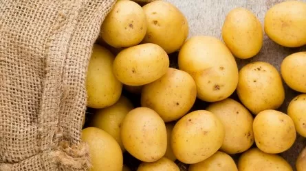 Тонны картофеля пропали из-за земельного конфликта