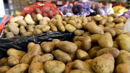 Картофель, гречка и морковь подешевели в Казахстане