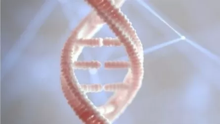 Елімізде жүктіліктің 9-аптасында ұрықтың ДНК диагностикасы жасала бастайды