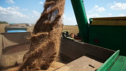 Стоимость пшеницы выросла после приостановки зерновой сделки Россией
