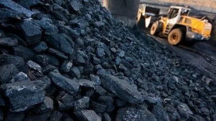 Әлеуметтік көмірді банктік мобильді қосымша арқылы сатып алуға болады