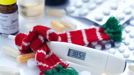 В Алматы растет число заболевших ОРВИ и гриппом
