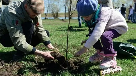 Алматинцам бесплатно раздадут деревья