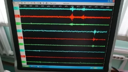 Сейсмологи Алматы зафиксировали землетрясение магнитудой 4.4