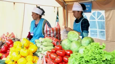 Туркестанские фермеры привезли в Алматы 367 тонн продуктов