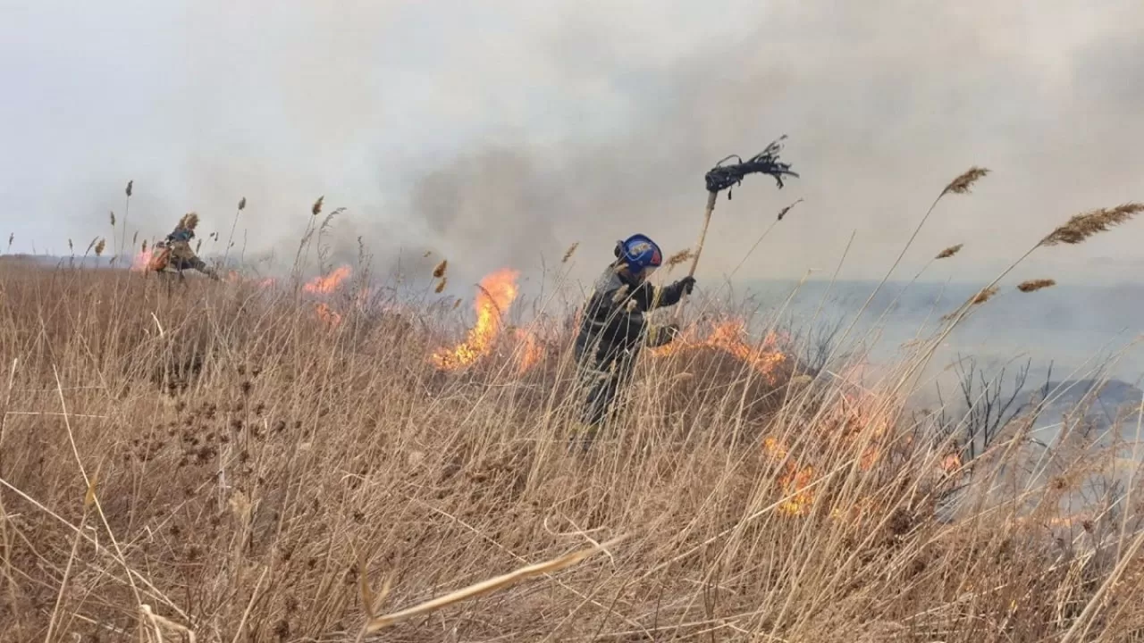 Вокруг одного из сел Павлодарской области прошла серия степных пожаров  