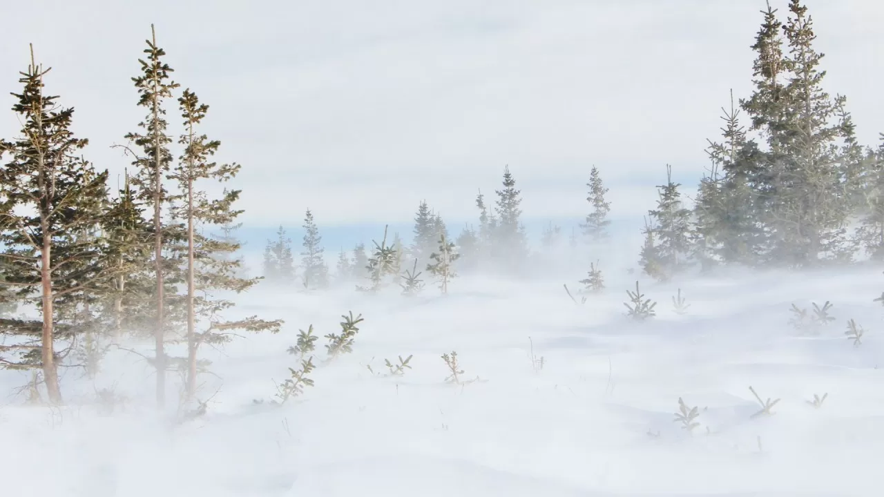 Бүгінгі ауа райы болжамы