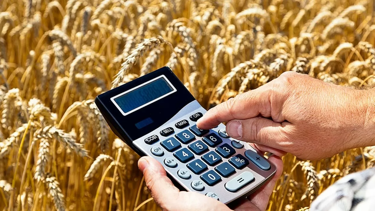 Реформирование системы субсидирования АПК не учитывает нужды фермеров – аграрии 