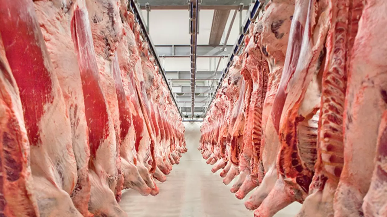 Стало известно количество произведенного в Казахстане мяса за 10 месяцев