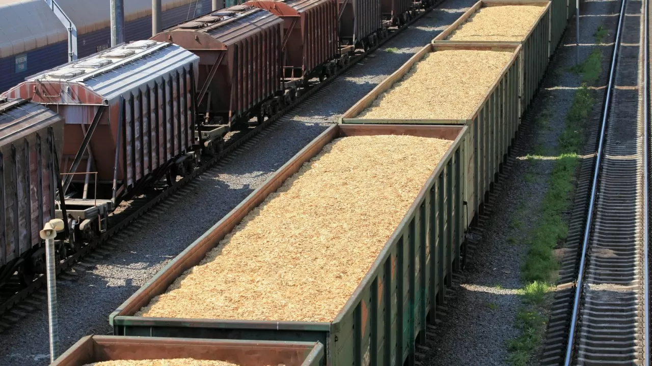 КТЖ отменила штрафы за простой зерновозов до конца года
