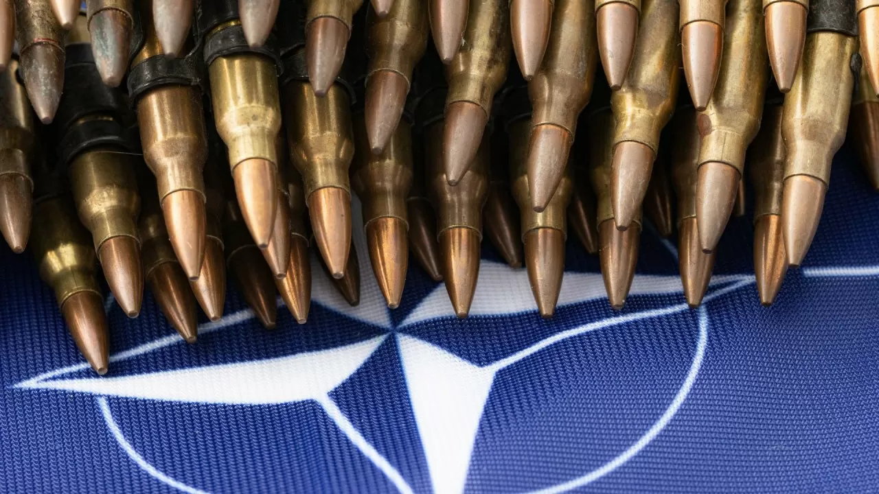 Украина НАТО елдерімен бірлесіп қару шығаруды жоспарлап отыр