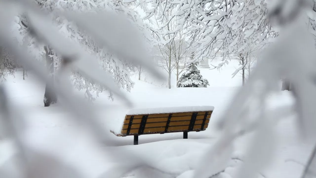 Петропавлда қалың қар жауды