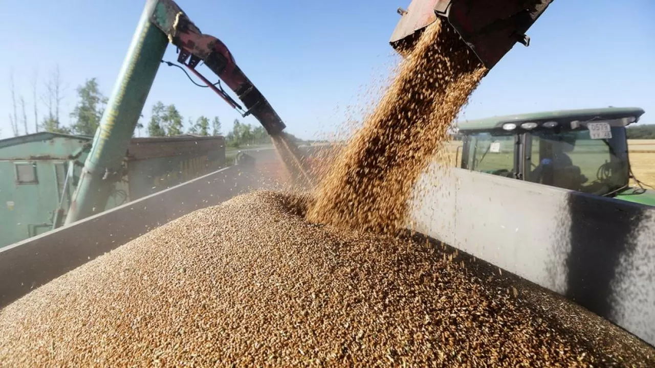 Страны G20 приветствуют действие "зерновой сделки"