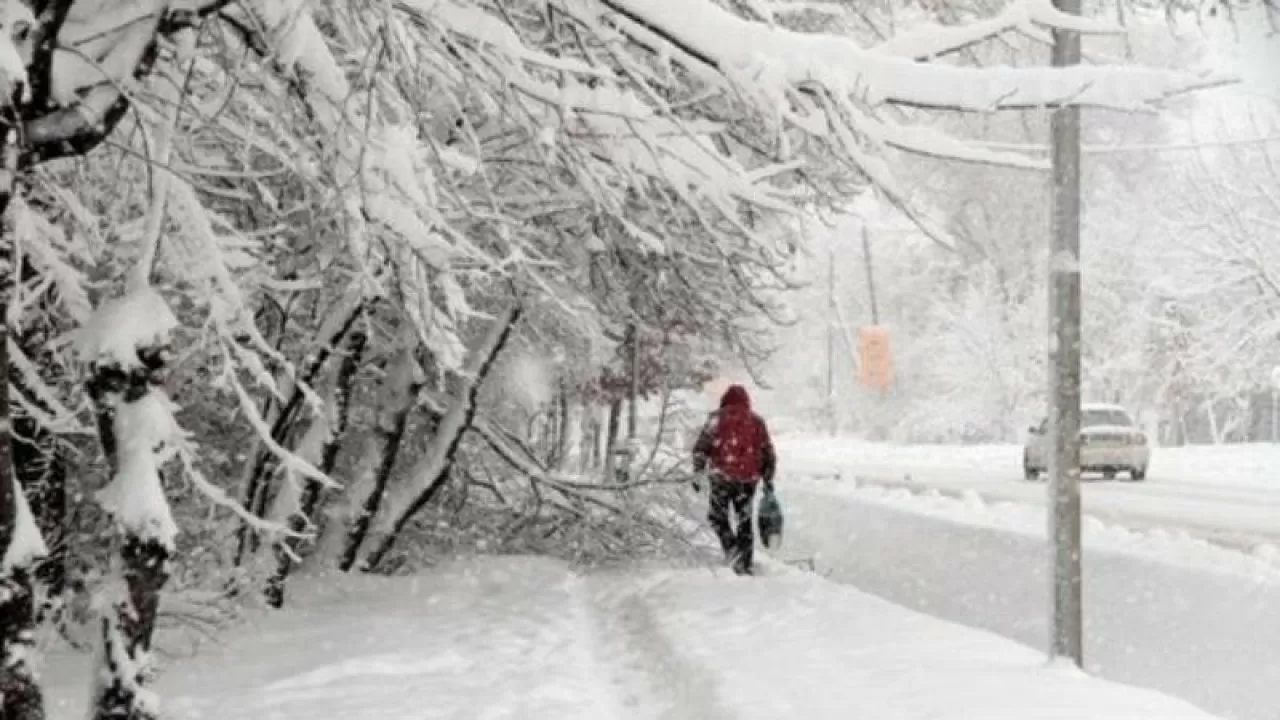 Тұман, бұрқасын, жел: Синоптиктер ескерту жариялады