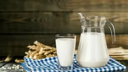 Субсидии на молоко просят оставить костанайские фермеры
