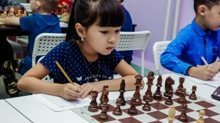 Минпросвещения поддержит шахматное движение в школах