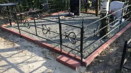 29 оградок украл талдыкорганец из группы "кладбищенских воров"