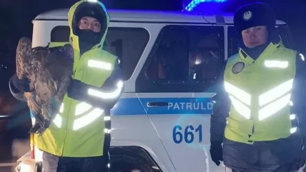 Павлодарские полицейские спасли краснокнижную птицу от замерзания