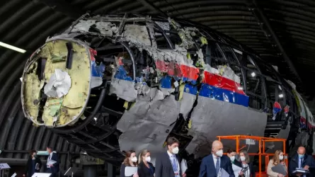 Boeing в Украине в 2014 году сбили ракетой, запущенной со стороны ДНР – суд в Гааге