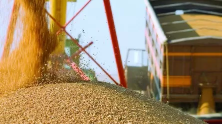 Никто пока не собирается снижать тарифы для транзита российского зерна – Серик Жумангарин