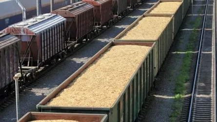 КТЖ отменила штрафы за простой зерновозов до конца года