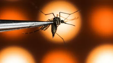 Суданда денге безгегінен 26 адам қайтты