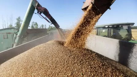 Страны G20 приветствуют действие "зерновой сделки"