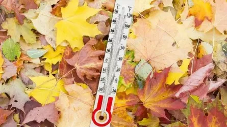 Температура в октябре побила рекорд 60-летней давности в Казахстане