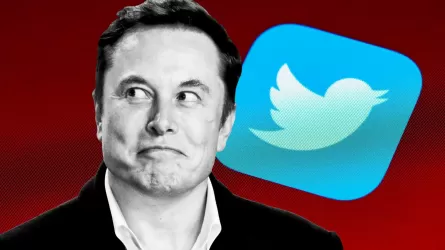 Илон Маск & Twitter:  миллиардер намерен выпустить «птичку» из клетки? 