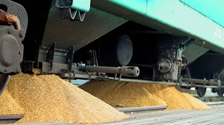 Рекордный объем зерна перевезен КТЖ в октябре