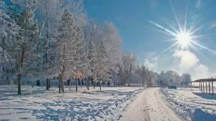 Елімізде 43 градусқа дейін аяз болады