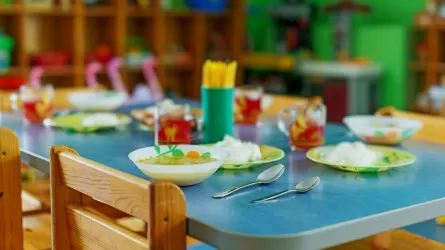 Детский сад в Павлодарской области становится роскошью?