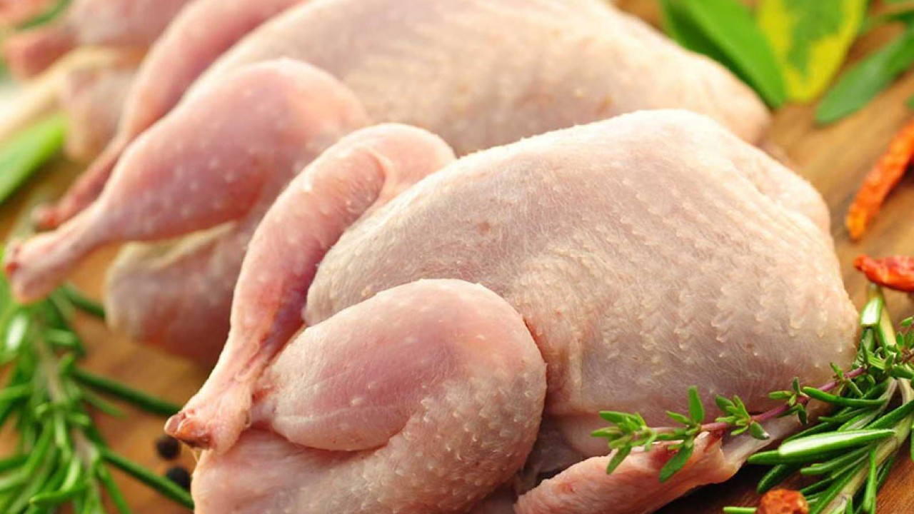 Интернеттегі анорексия порно