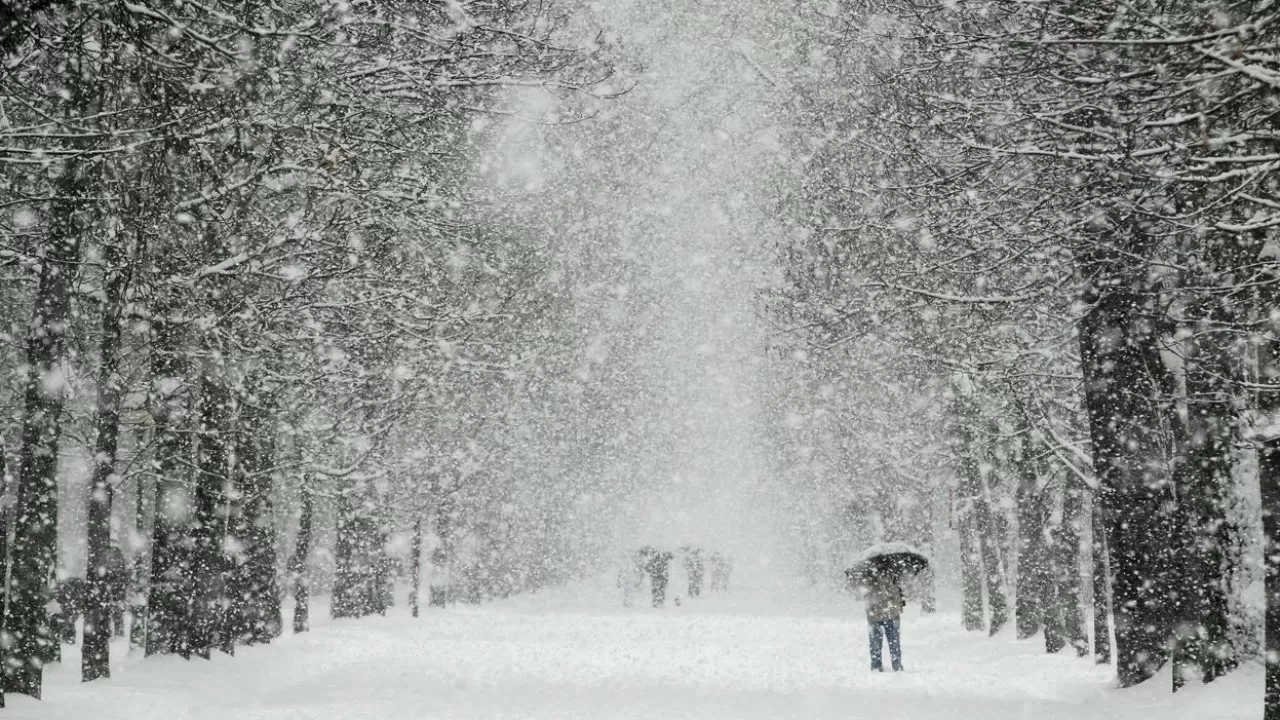 На большей территории Казахстана пройдет снег, а на юге дождь и снег