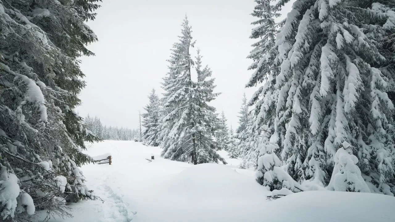 Сенбі күнгі ауа райы болжамы жарияланды