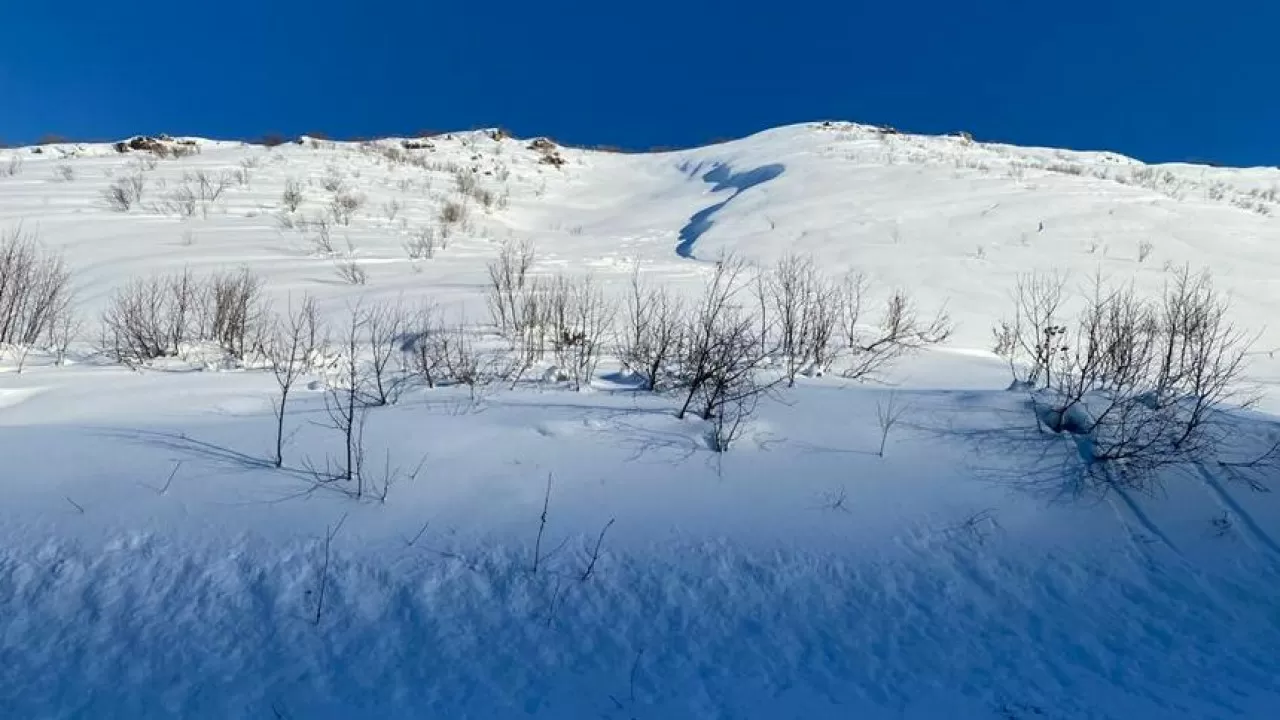 Шығыс Қазақстанда қар көшкіні түсірілді