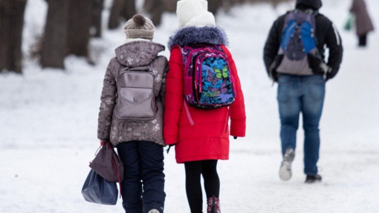 Отменили ли каникулы. Дети идут в школу зимой. Дети на прогулке зимой. Мальчик зимой. Школьники идут в школу зимой.