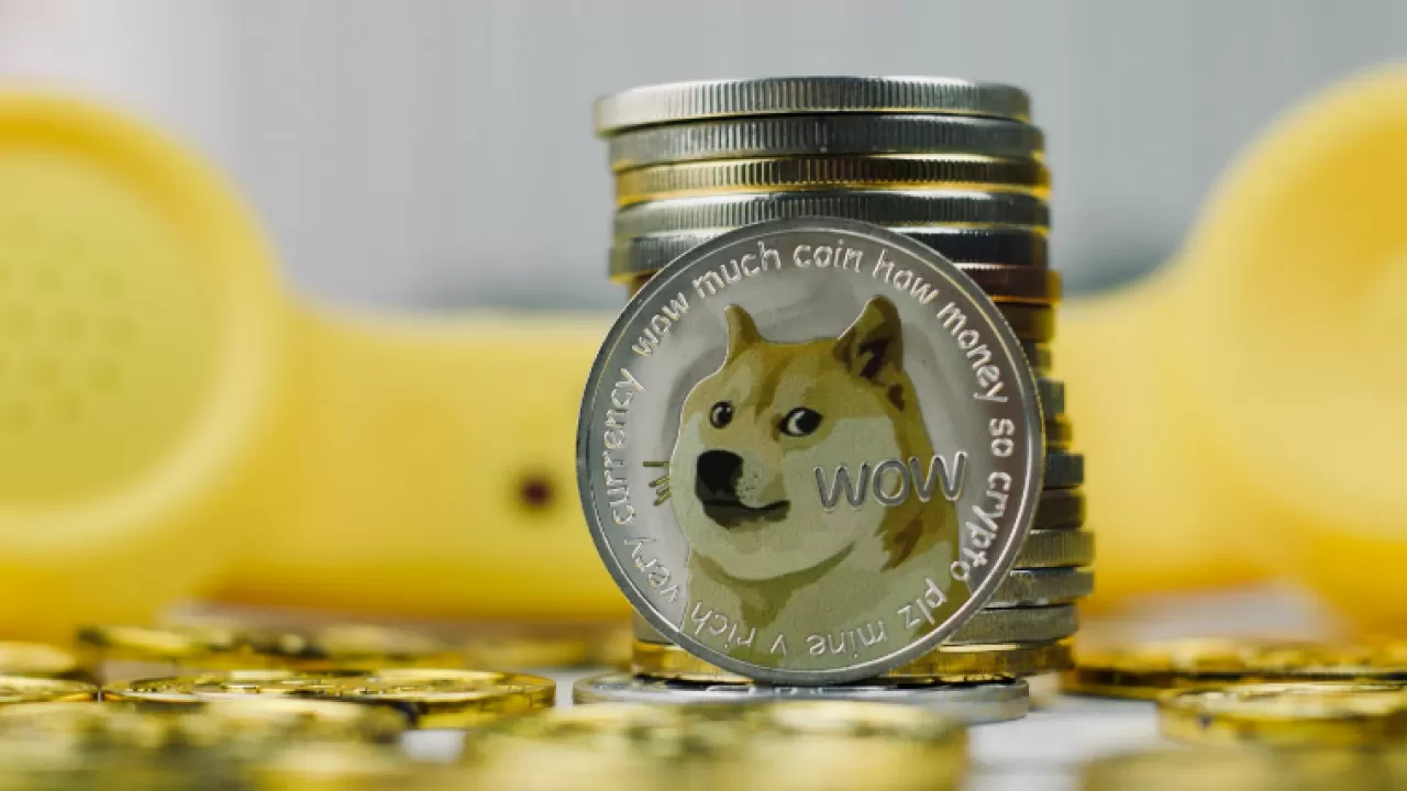 В Японии сильно заболела собака, ставшая лицом криптовалюты Dogecoin
