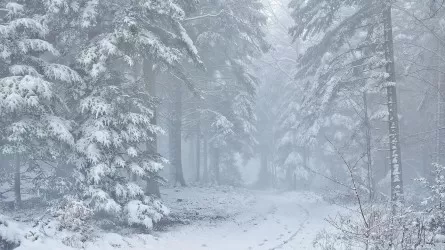 На новогодние праздники в Казахстане ожидаются снегопады и метели 