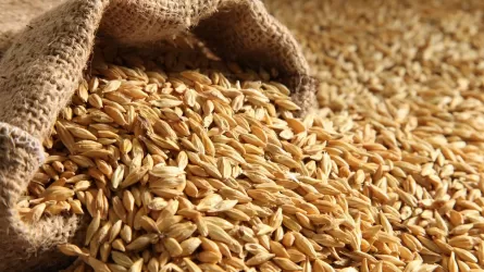 Рост цен может спровоцировать внедрение сопроводительных накладных на зерно