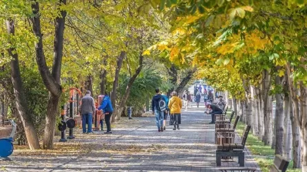 В Алматы в 2023 году реализуют проект "Центр активного долголетия" 
