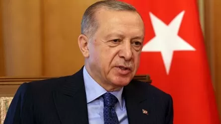 Эрдоган заявил об обнаружении в Турции месторождения с нефтью