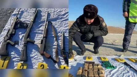 "Богатый" схрон оружия обнаружили в лесополосе Конаева
