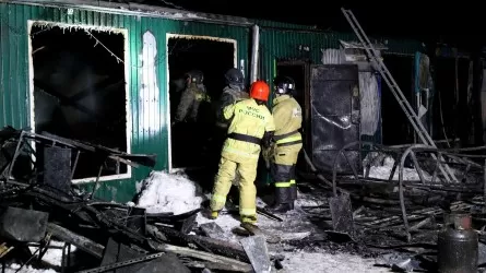 Арестован владелец приюта, где в пожаре погибли 22 человека