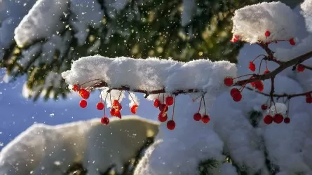 8 декабря в одном регионе Казахстана будет сильный снегопад
